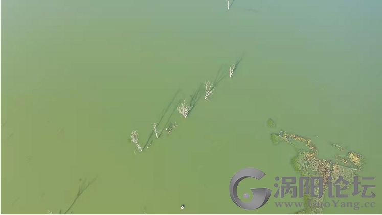 6480778b8aeafb1da4c52906b7546687.png