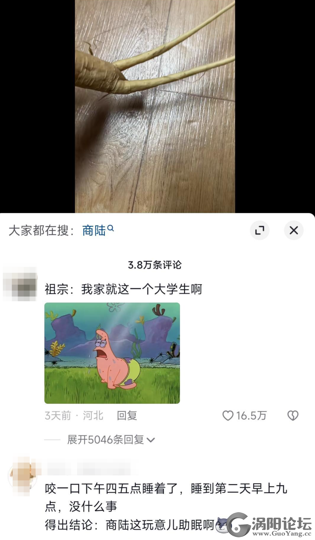 2447ee47926c723fb7373eba102c9ced.png