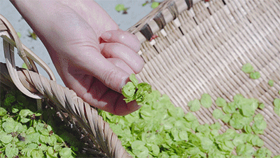 1927b0b6398a1feada1f28be71c01df8.gif