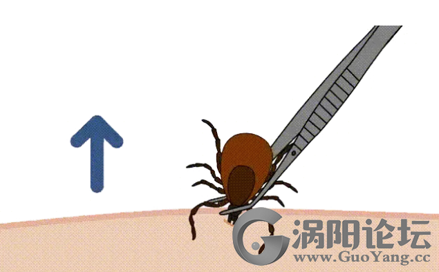 039c60980825720236291de3ad419194.png