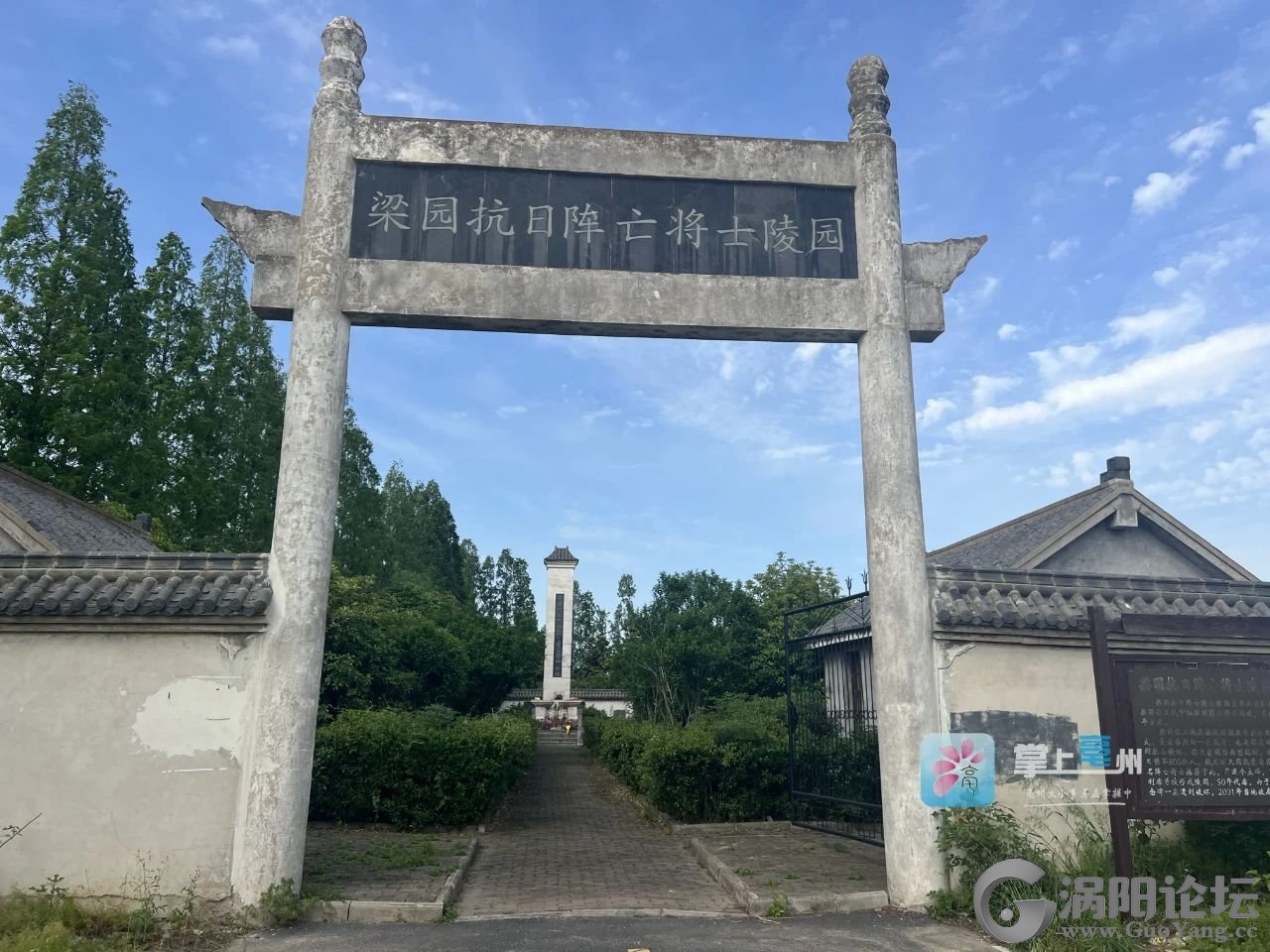 ae44033fc417b489c362a7a3383162ab.jpg