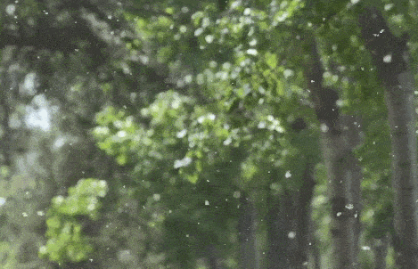 8c96852eb09bf60fe9ebcbe4ce6495b9.gif