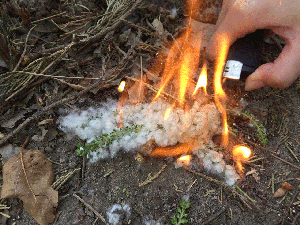 b43f6fa987445fec0572bd75e82e9e0a.gif