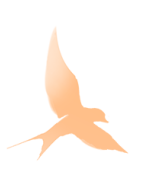 5de3d237fe49eb6a57c651a226daf2eb.png