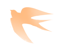877e198bb549bca00402ecbf85be88af.png
