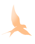 0a8e3c5e51a345d7f4ea9c2b3f7a6a6e.png