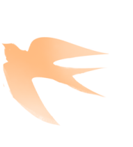f0e41b32d27f4e38f2c81e6f9768436b.png
