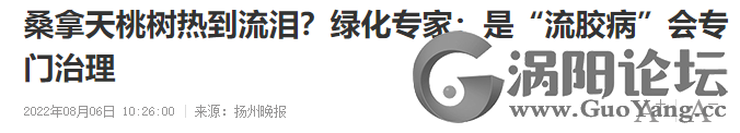 776ee2477f1439505f31b341012c8043.png