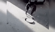 56f9bb7a581176f6bc0c0ba256330111.gif