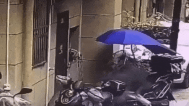 60b563291e5f18560addfa8950e8e1d0.gif