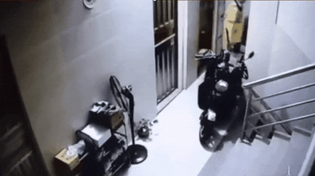 cabaa4f8c497f87f56596bdbfcfc1e81.gif