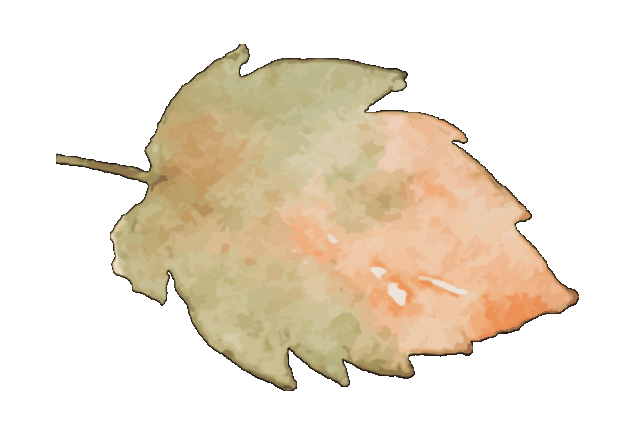 b40dff6d5cf4337c65170a2a8f28b809.gif