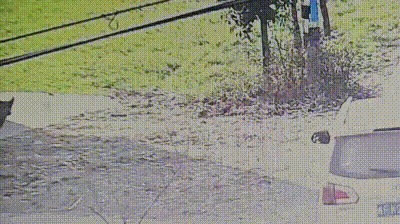 üһ.gif
