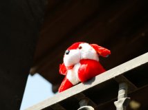 ȴ