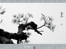 滨