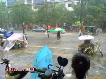201274յһ ʤ·һƬ
