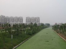 棬̣֮