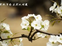 滨ѩ涼ӭ͡