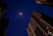 ¹⡾