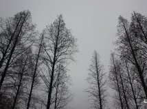 ʧбݡͼ