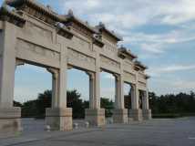 Դʪط