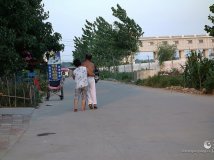 ڹ͸  ɱα绨ѩ