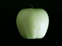 ƻ