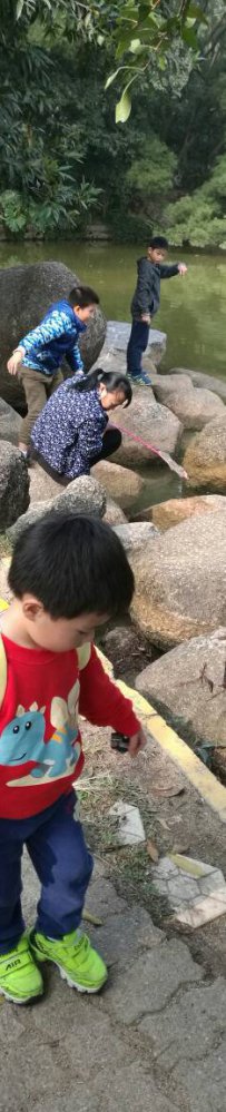 鶯õĺ԰
