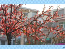 310Ļ㳡滷жʱĵĻ