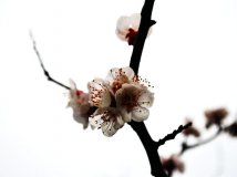 治֪δȥ