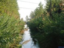Сӡ«έ